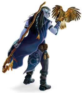 dnd druid